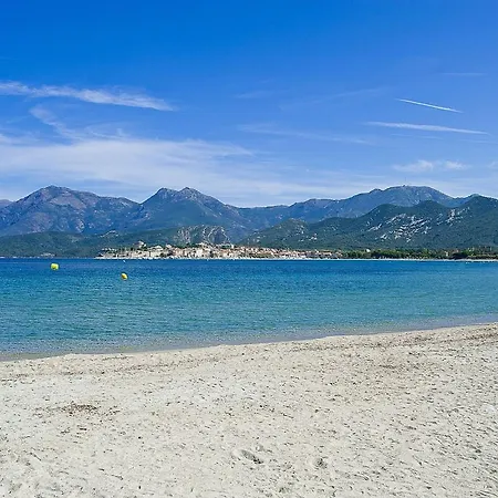 Suarella Saint-Florent (Corsica)
