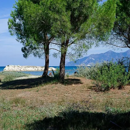 Suarella
