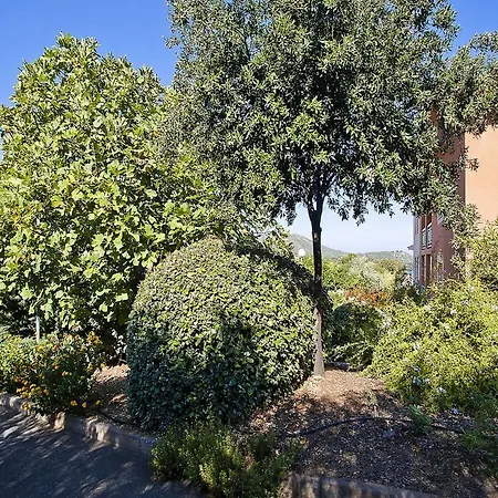 Suarella Saint-Florent (Corsica)