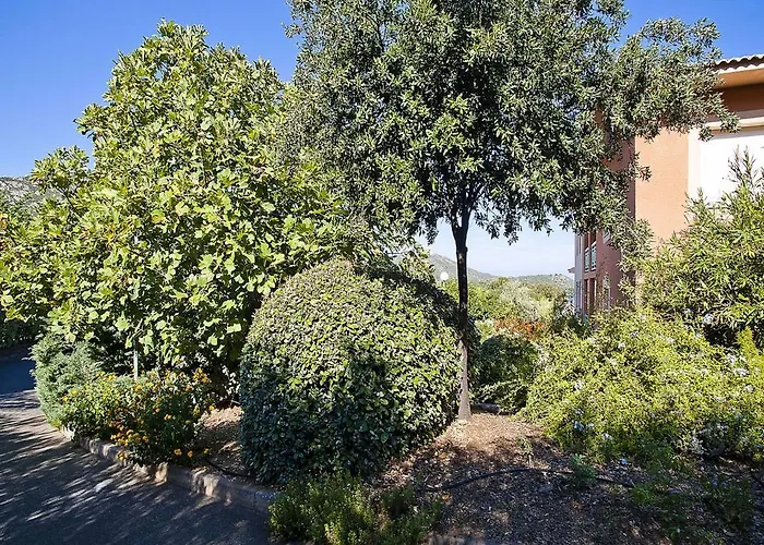 Suarella Saint-Florent (Corsica)